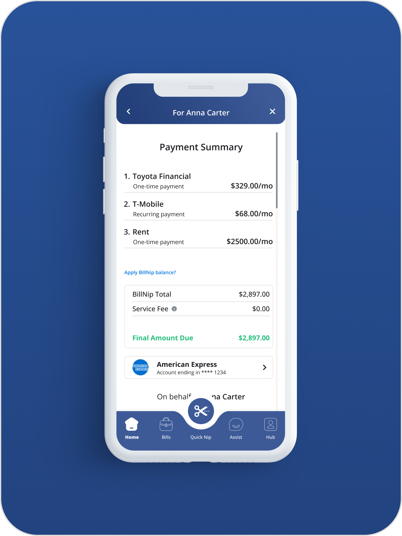 BillNip payment summary mobile screen
